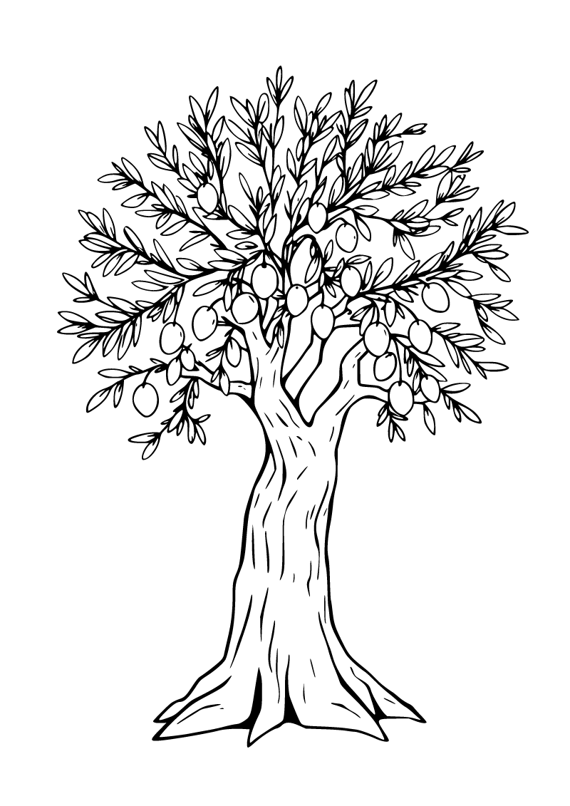 Zeytin ağacı boyama sayfası